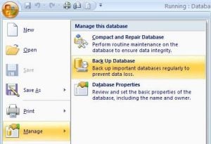 Backing Up The Access Database