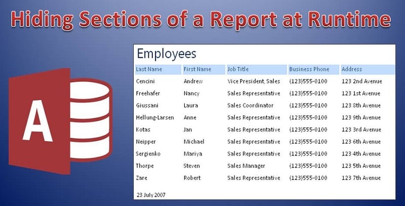 Hiding Sections Of A Report At Runtime