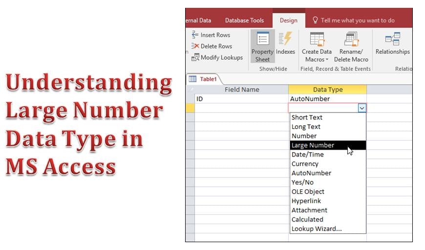 Understanding Large Number Data Type In MS Access