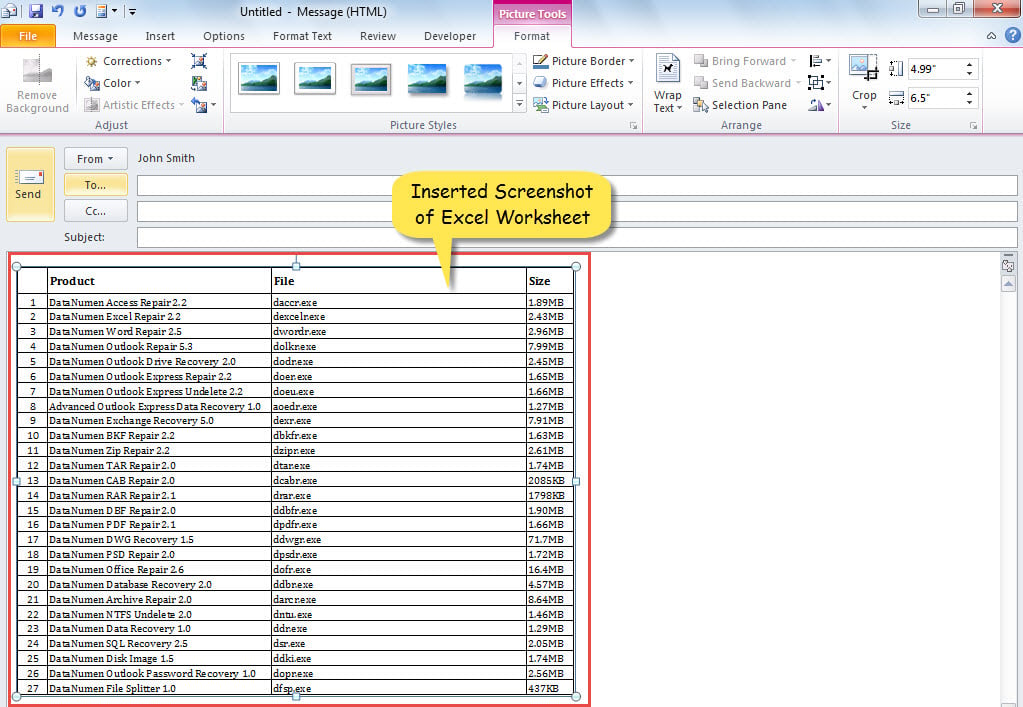 Inserted Screenshot of Excel Worksheet
