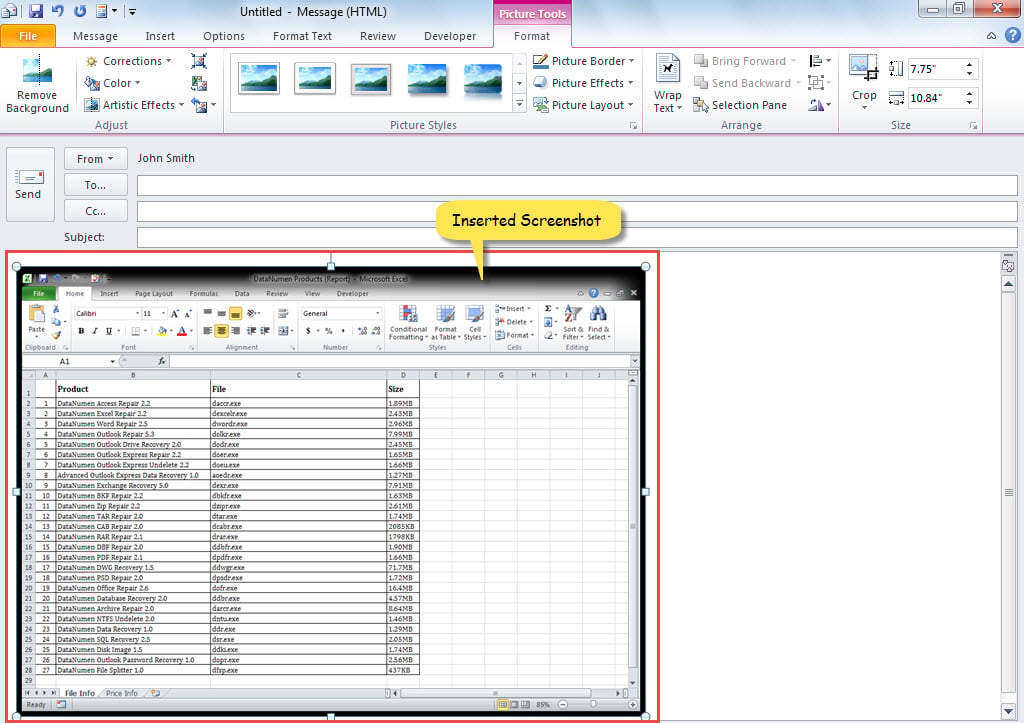 Inserted Screenshot of Excel Window