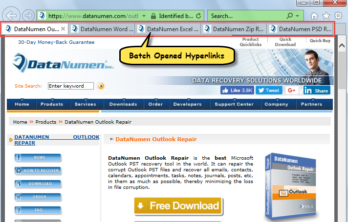 Batch Opened Hyperlinks in Internet Explorer