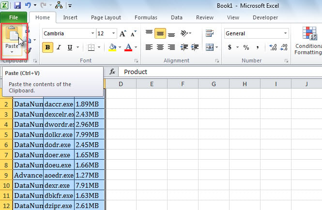 Paste Copied Worksheet