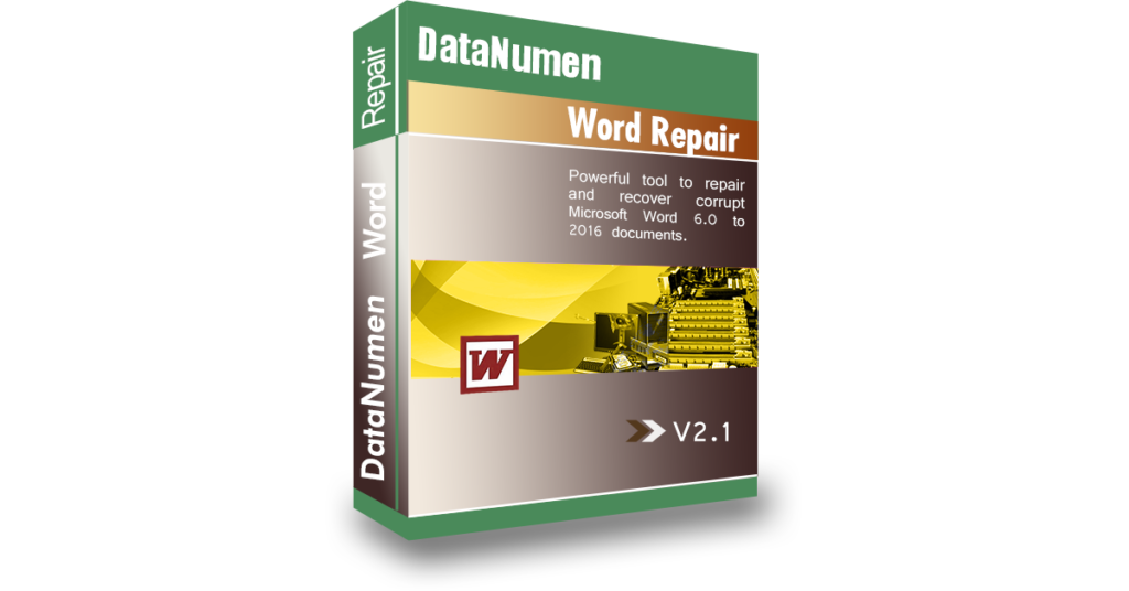 DataNumen Word reparieren