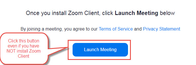 Zoom Launch Meeting