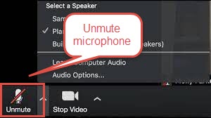 Unmute Zoom