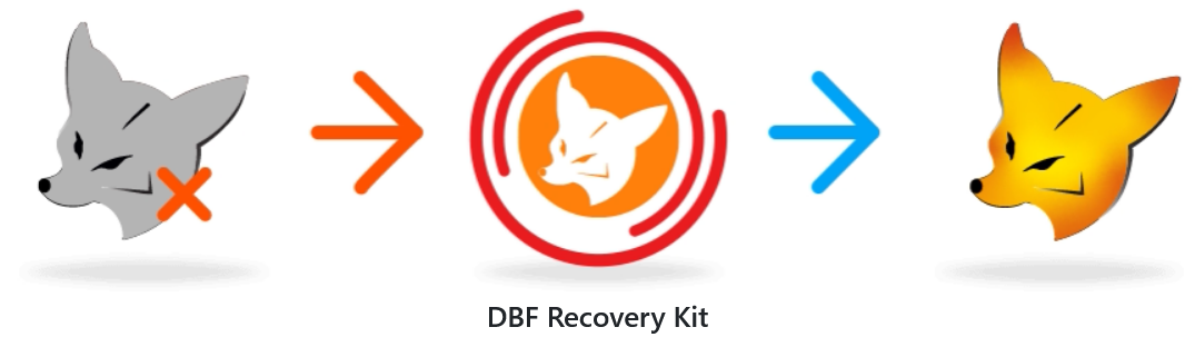 DBF Recovery Kit