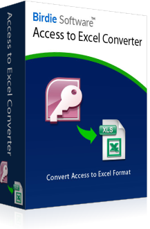 Birdie Access to Excel Converter