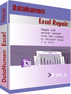 DataNumen Excel Repair 4.5 ბოქსშოტი