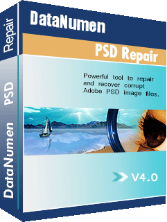 DataNumen PSD Repair 4.0 Boxshot