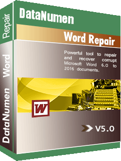 DataNumen Word Repair 5.0 Foto de caja