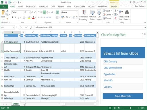iGlobe CRM Excel Reporting Tool