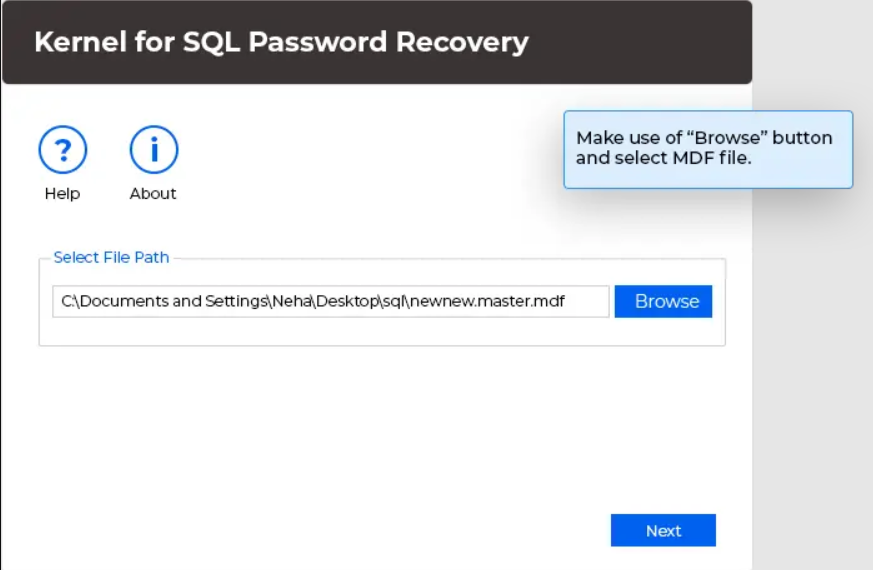 Kernel for SQL Password Recovery