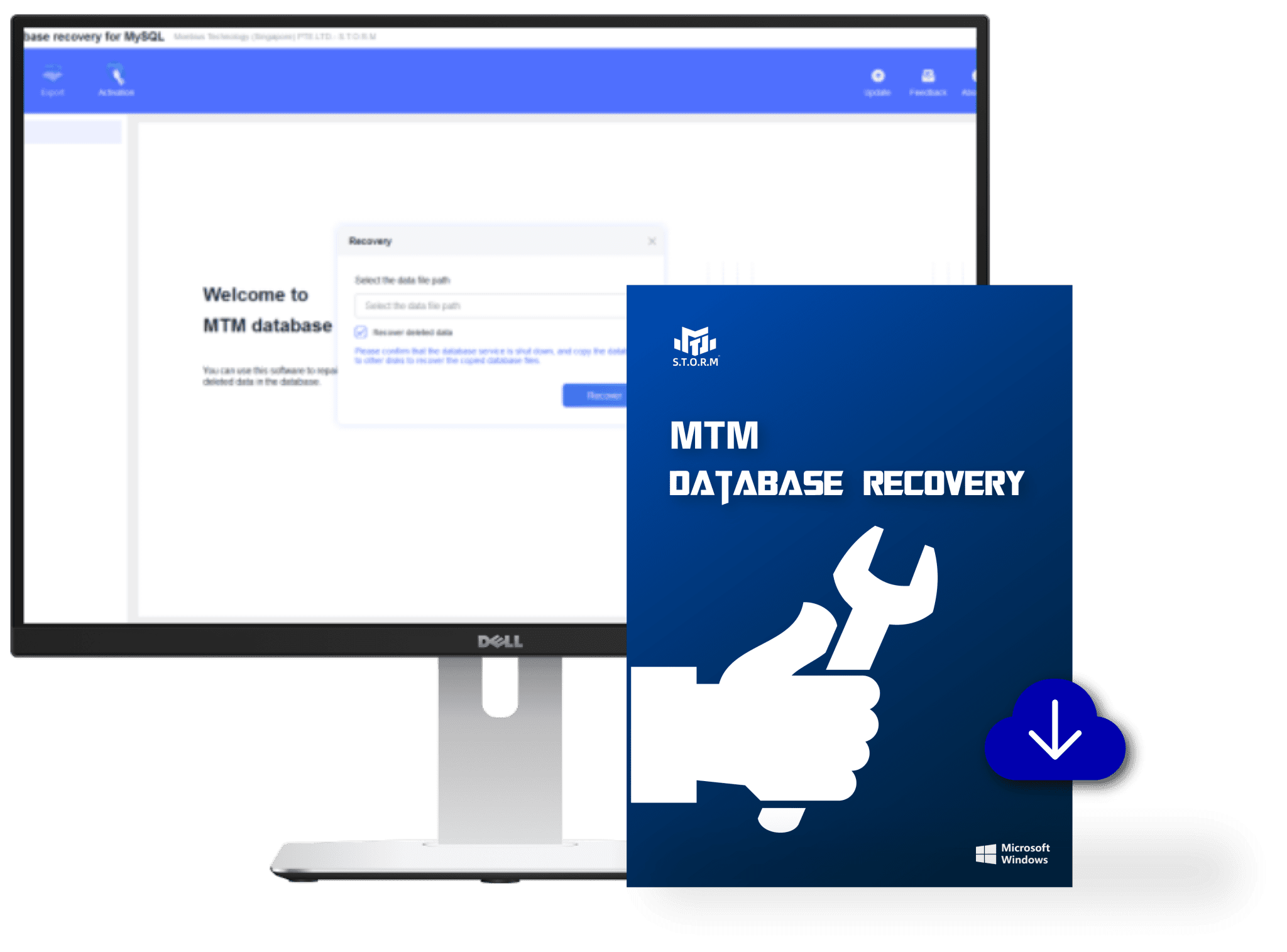 MTM Database Recovery