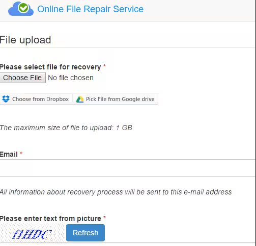 Online File Repair Service