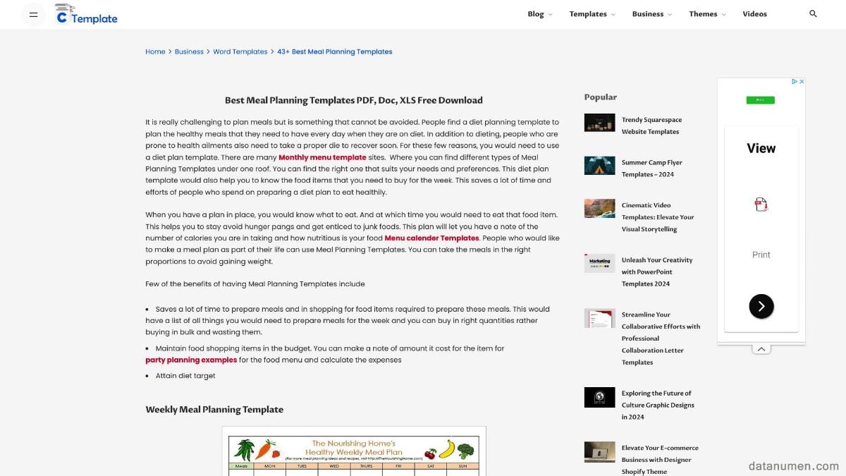 CreativeTemplate Best Meal Planning Templates PDF