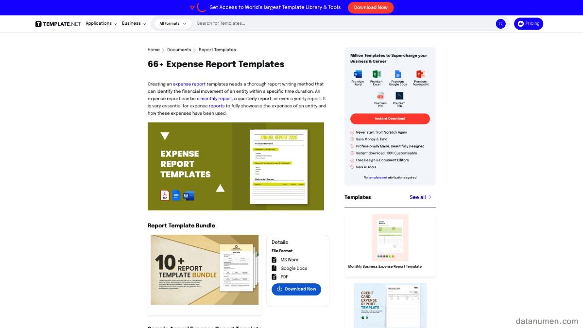 Template.Net Expense Report Templates