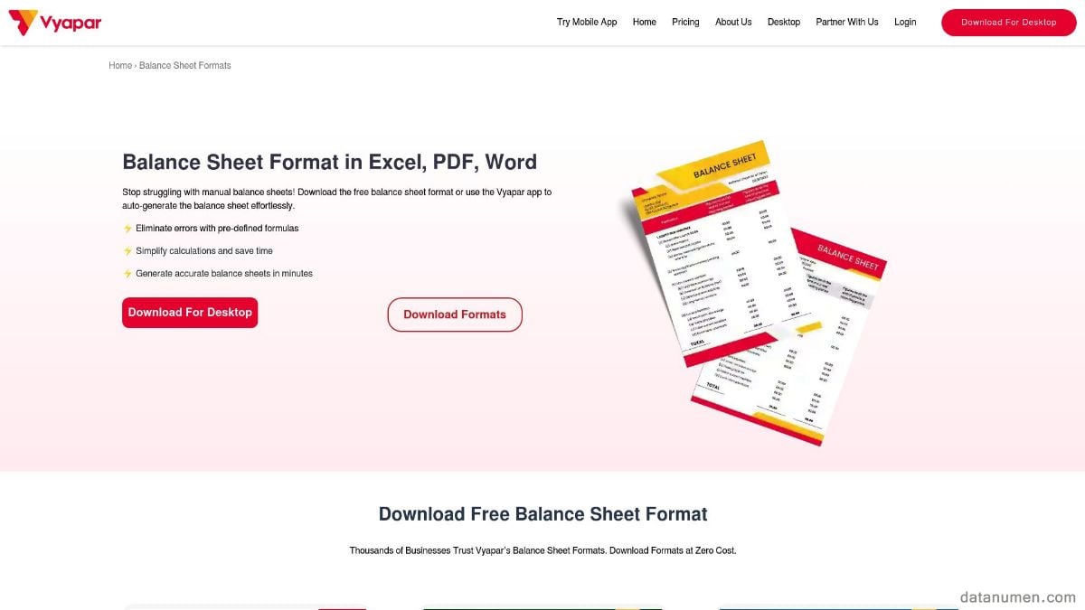 Vyapar Balance Sheet Format
