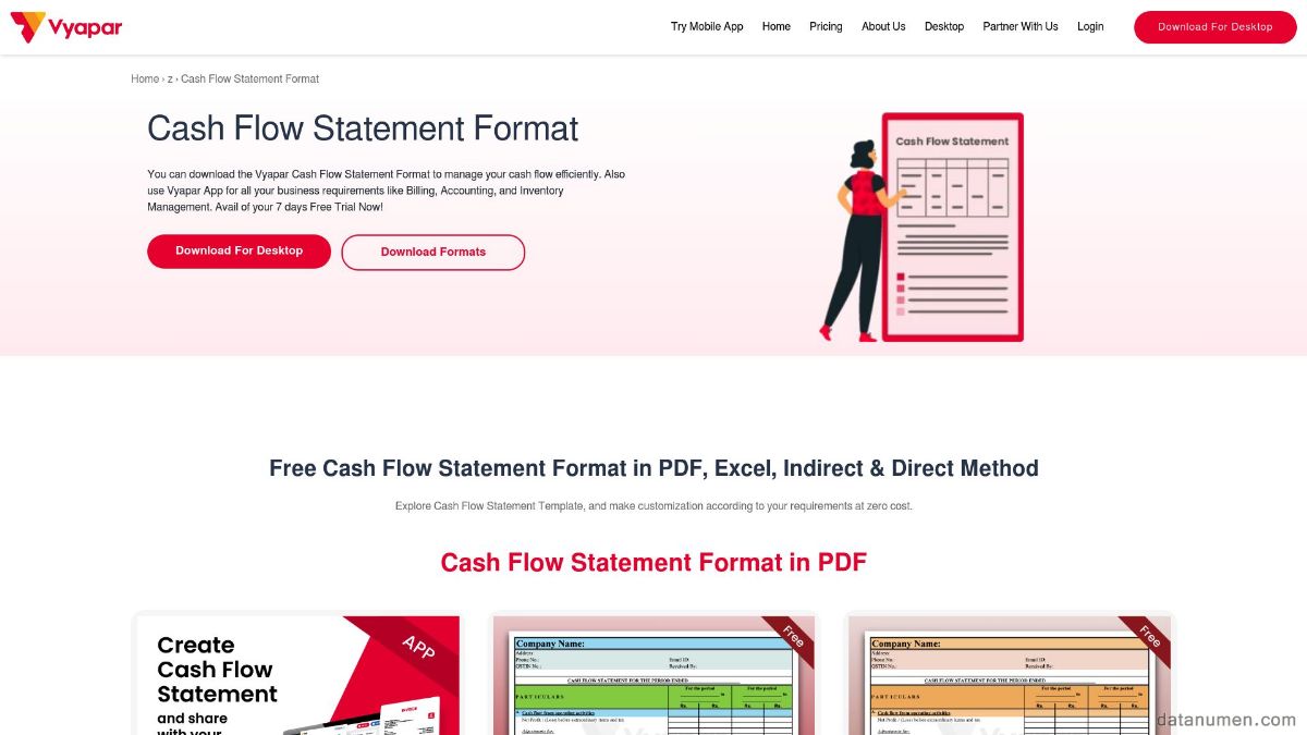 Vyapar Cash Flow Statement Format