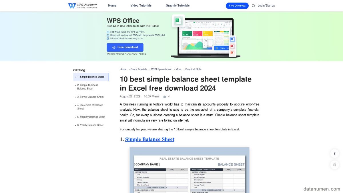 WPS Balance Sheet Template