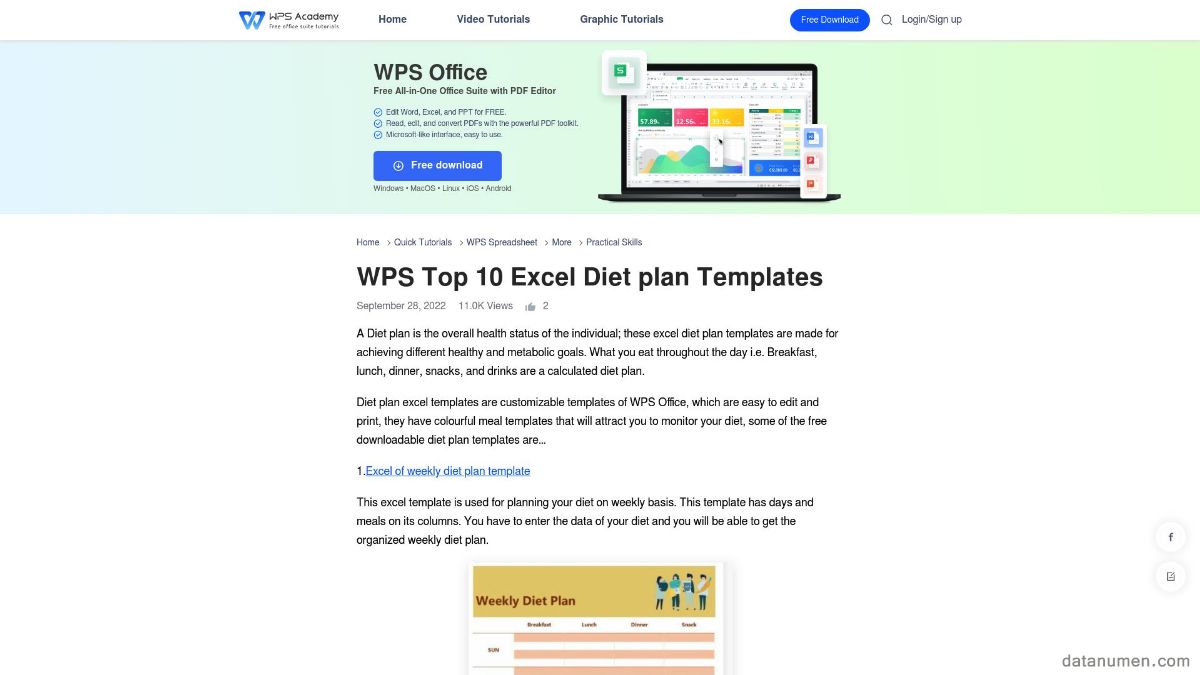 WPS Top 10 Excel Diet Plan Templates