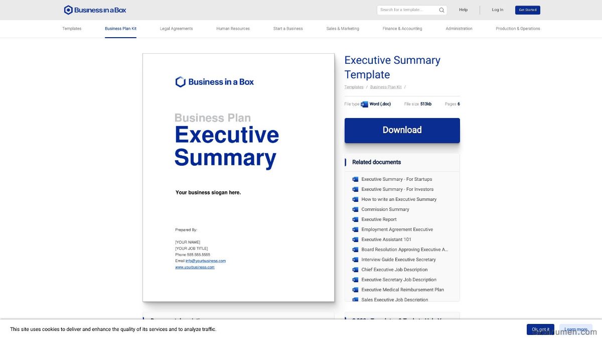Business In A Box Executive Summary Template