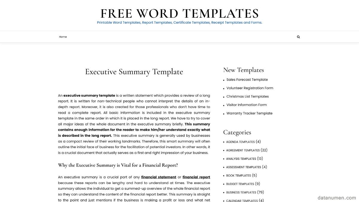 Free Word Templates Executive Summary Template