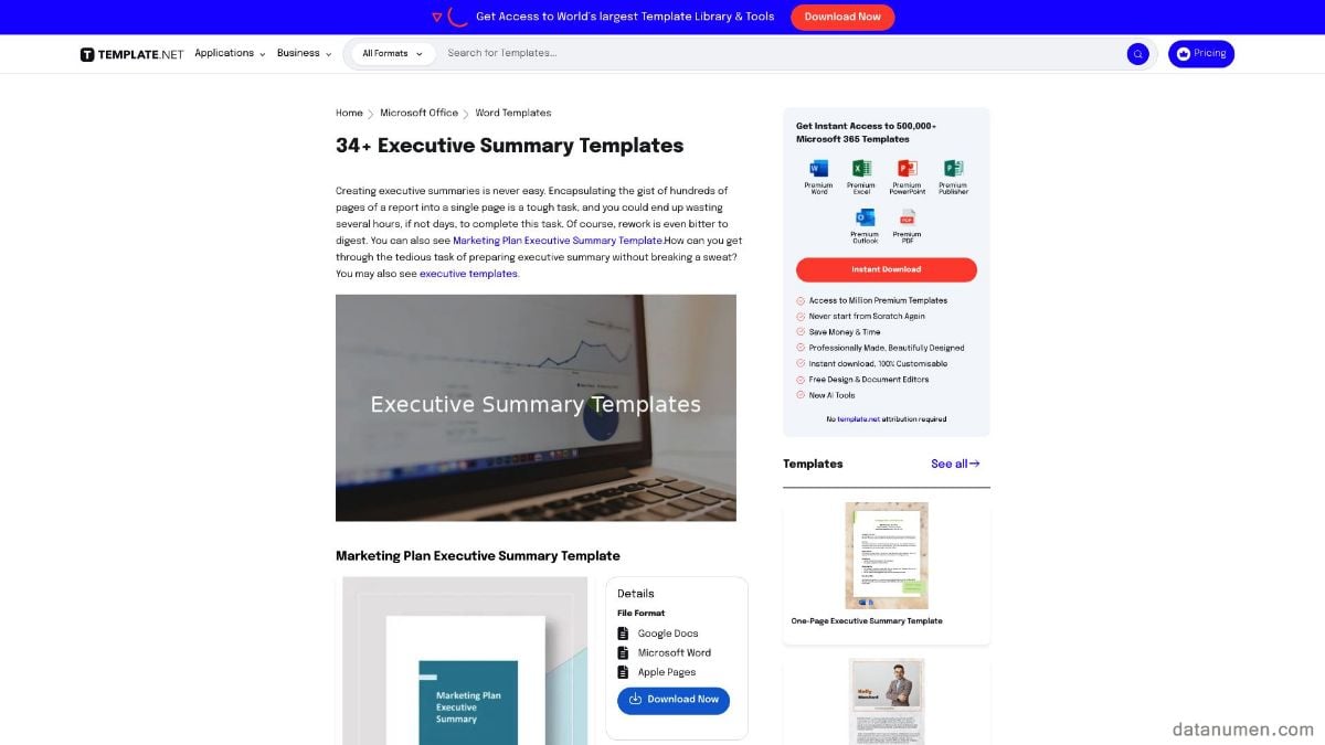 Template.Net Executive Summary Templates