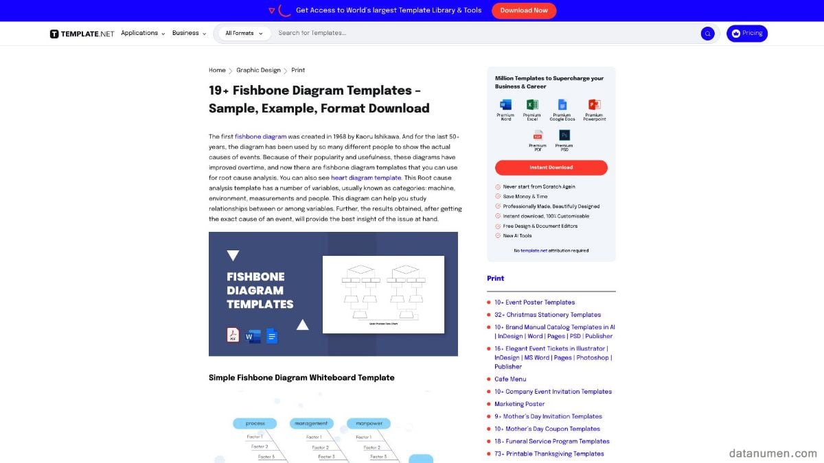 Template.Net Fishbone Diagram Templates