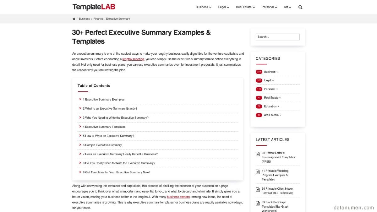 TemplateLab Executive Summary Examples & Templates