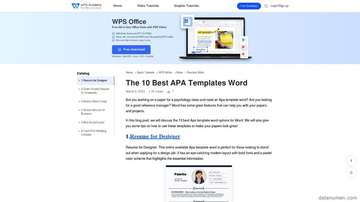 WPS Best APA Templates Word