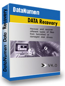 DataNumen Data Recovery