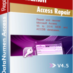 DataNumen Access Repair 4.5 Boxshot