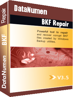 DataNumen BKF Repair
