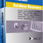 DataNumen Database Recovery Boxshot