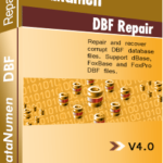 DataNumen DBF Repair 4.0 Boxshot