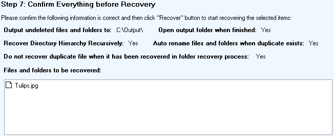 Confirm Recovery Options