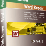DataNumen Word Repair