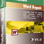 DataNumen Word Repair 5.0 Boxshot