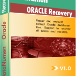 DataNumen Oracle Recovery Boxshot