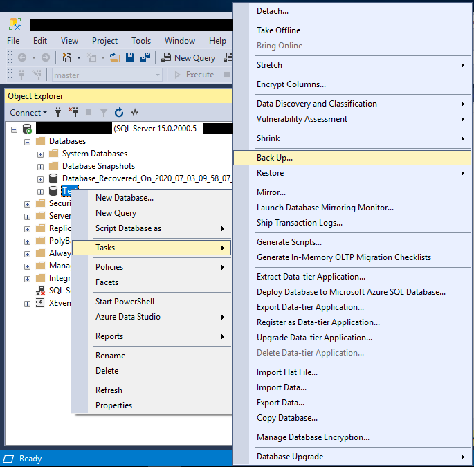 Start a backup task for a SQL Server database.