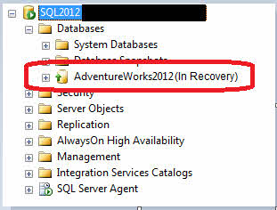 In SQL Server, a database contains the "In Recovery" tag, which means it is currently in recovery mode.