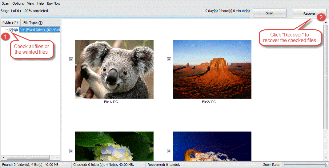 In DataNumen Data Recovery, check the files you want to recover and click the "Recover" button to recover deleted files.