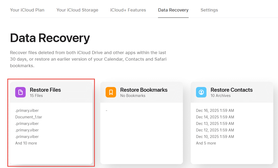 On iCloud Drive, recover deleted files with the Data Recovery feature.