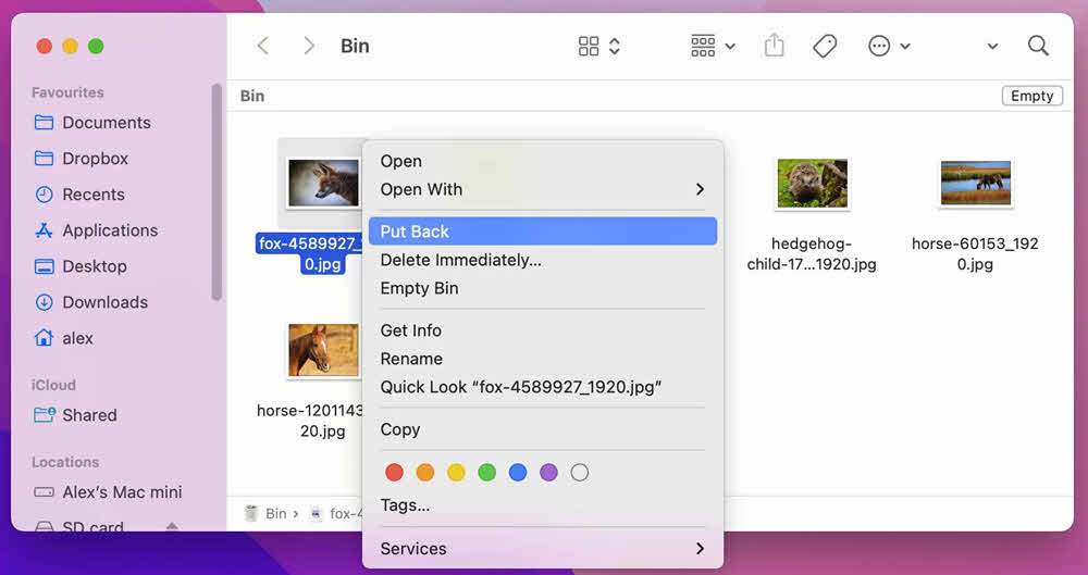 Recover Deleted Files on Mac from the Trash.