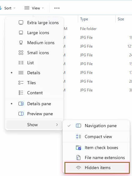 Show hidden items in Windows File Explorer.
