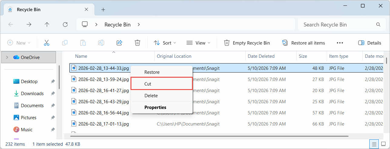Cut the file in Recycle Bin with right click menu.