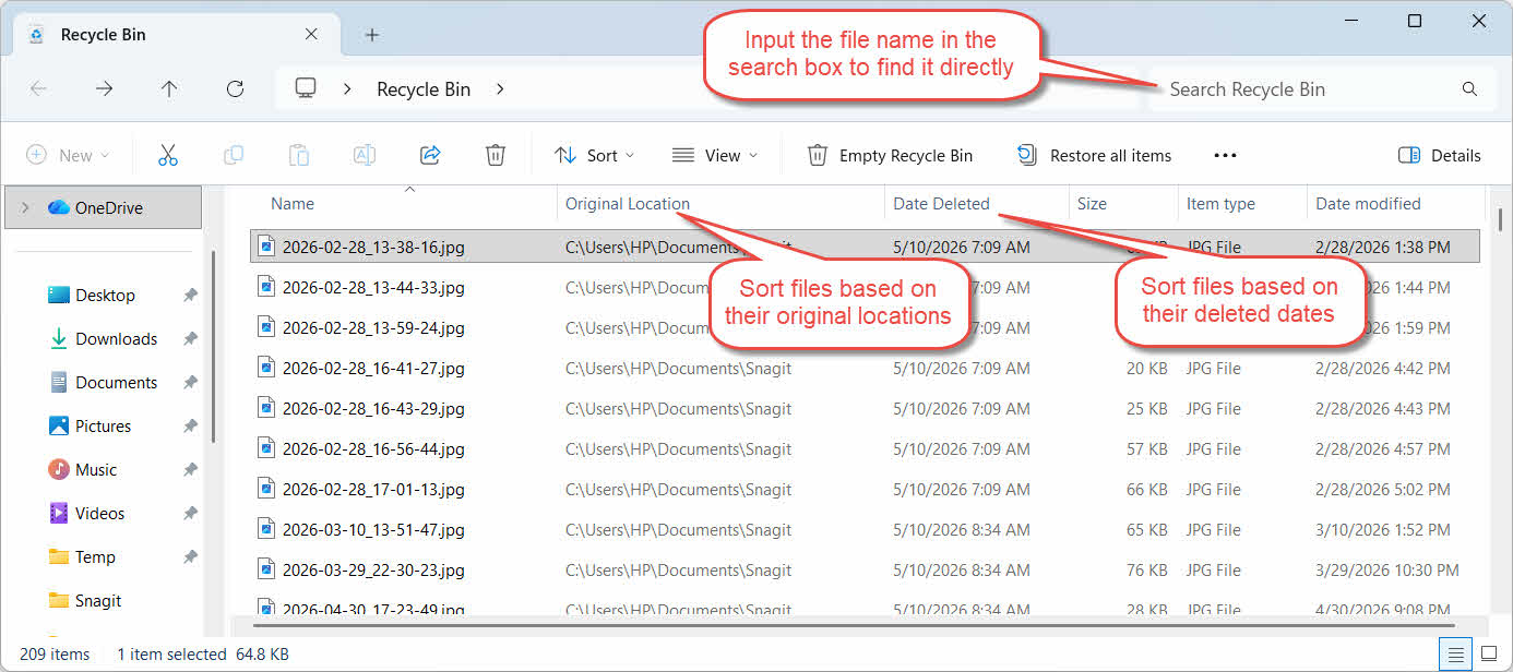 Find files in the Recycle Bin